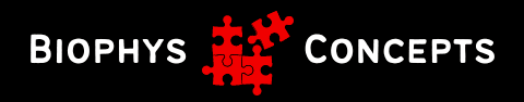 BioPhys-Concepts